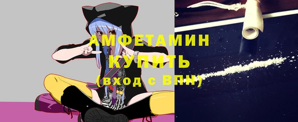 сатива Аркадак
