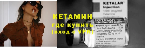 сатива Аркадак