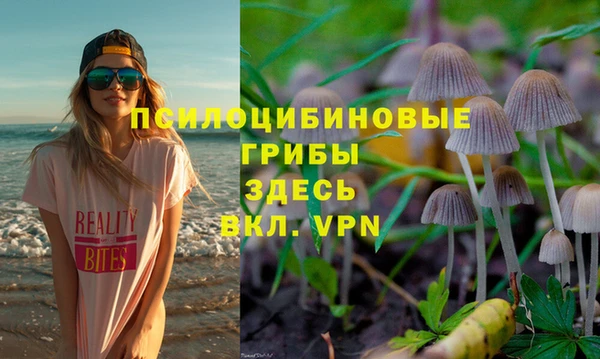 первитин Балахна