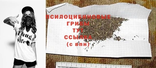 сатива Аркадак
