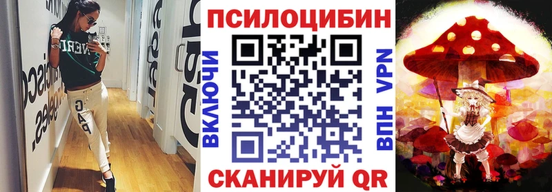 Псилоцибиновые грибы мухоморы  купить закладку  Гурьевск 